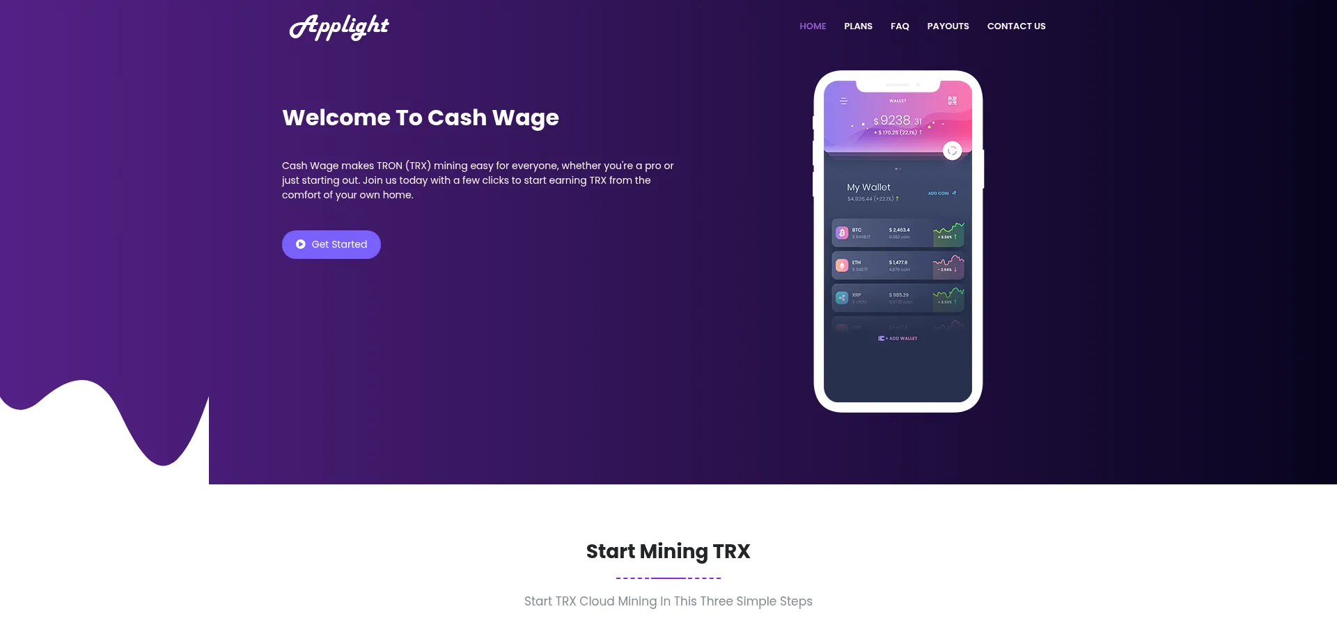 Website screenshot of Cashwage.site