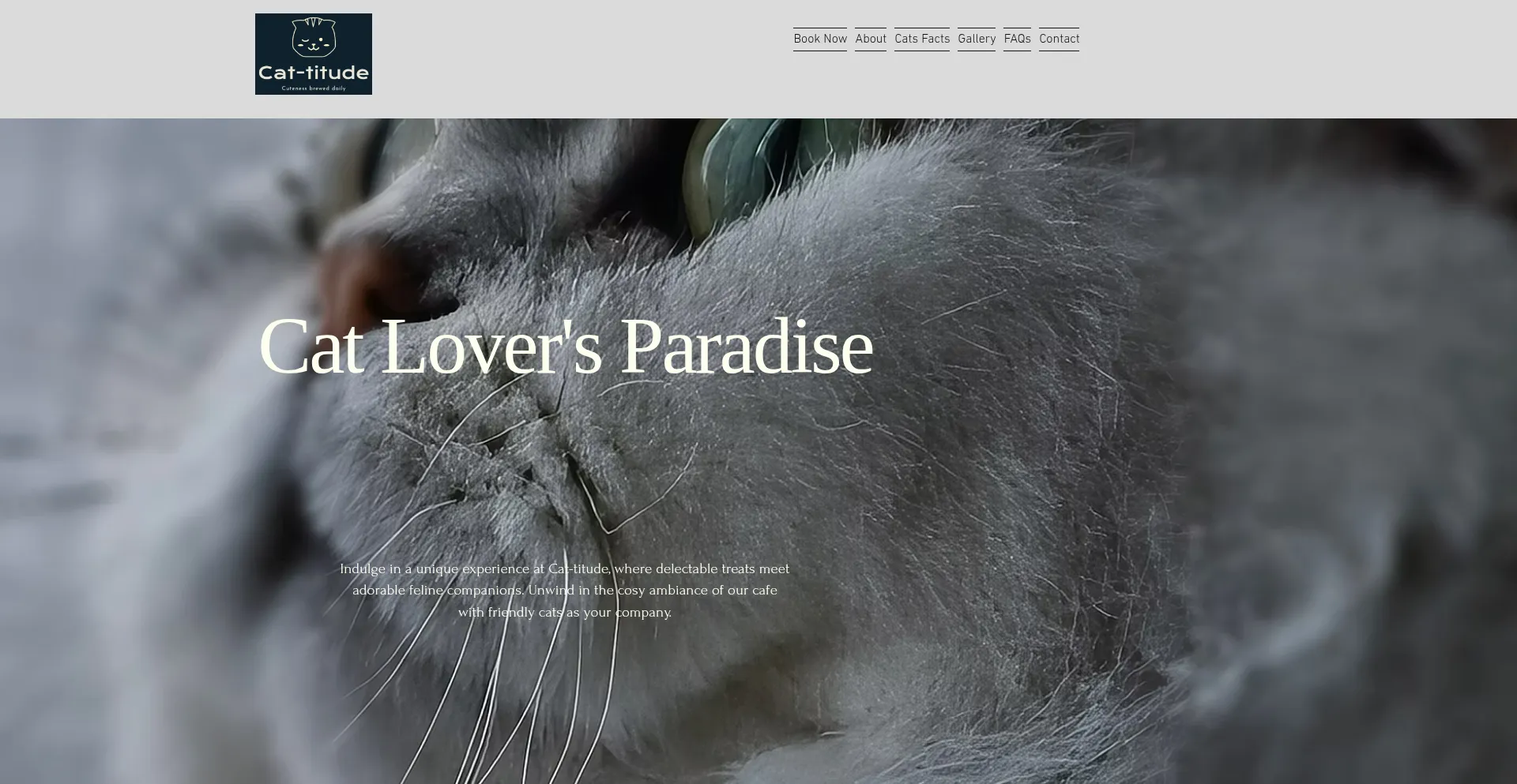 ¿És Seguro y Confiable Cat-titude.co.uk?