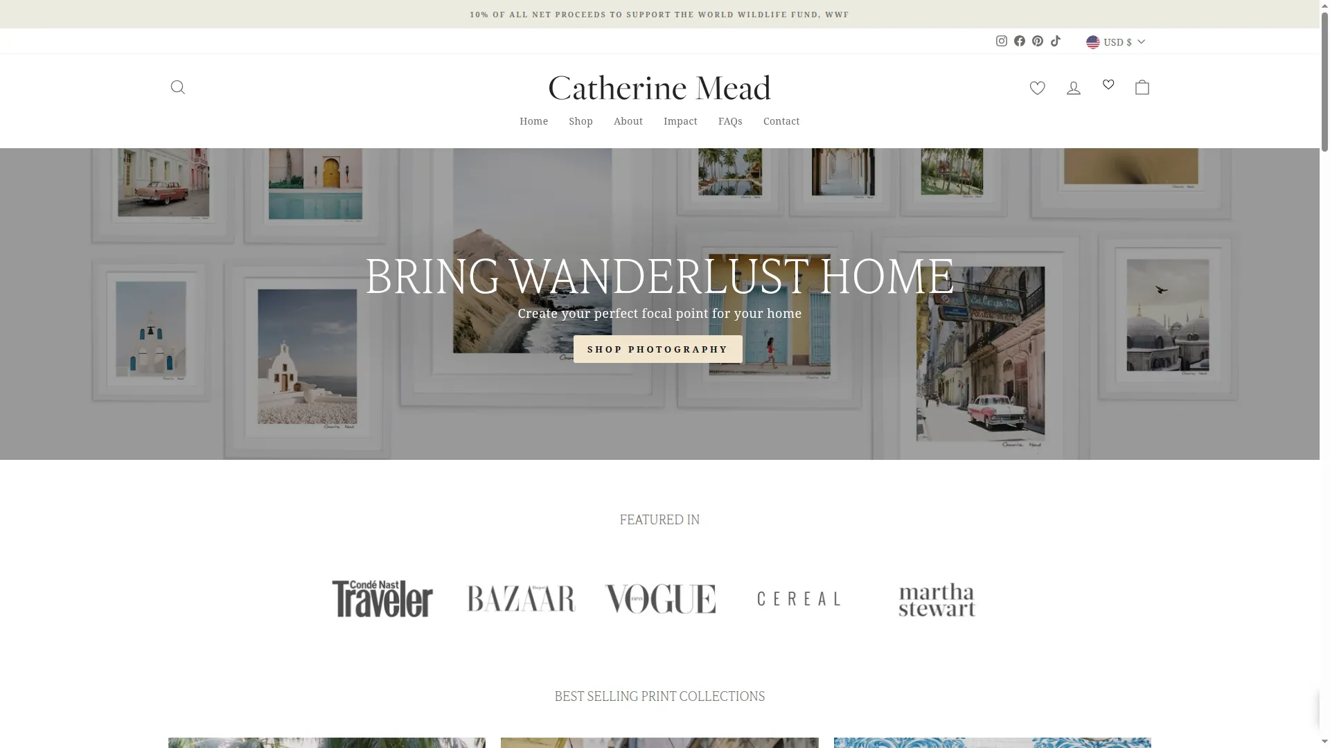 Catherinemeadgallery.com