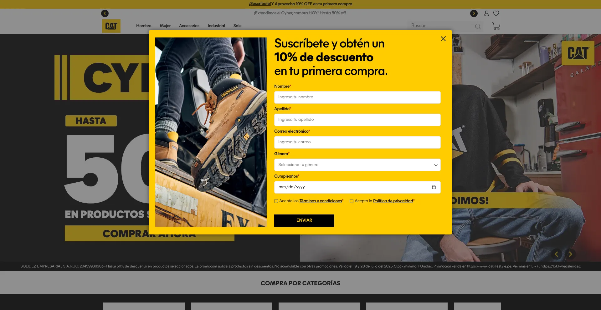 Website screenshot of Catlifestyle.pe