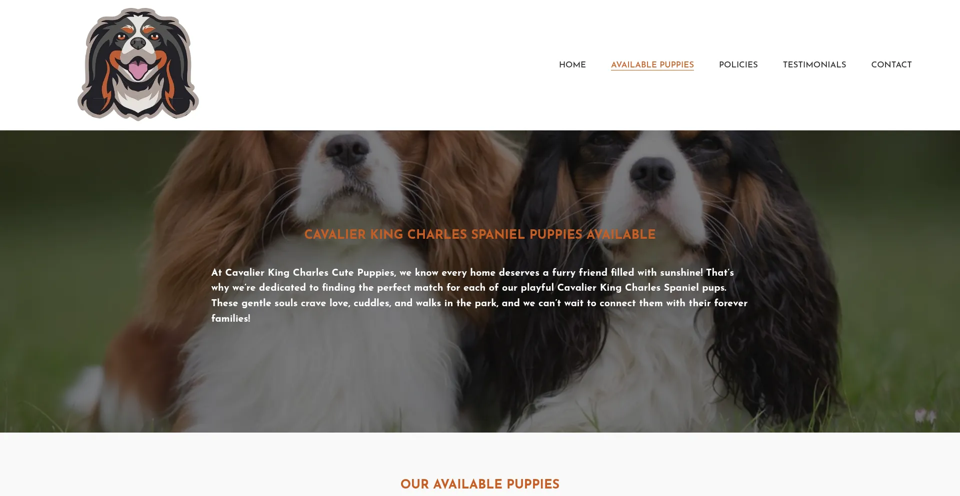 Cavalierkingcharlescutepuppies.com