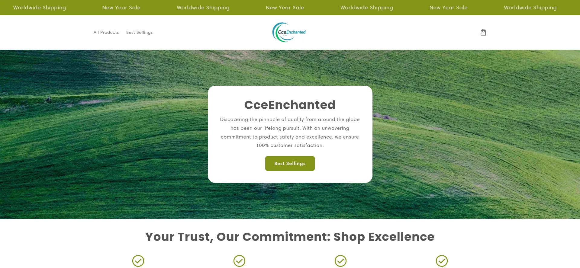 Website screenshot of Cceenchantedshop.com