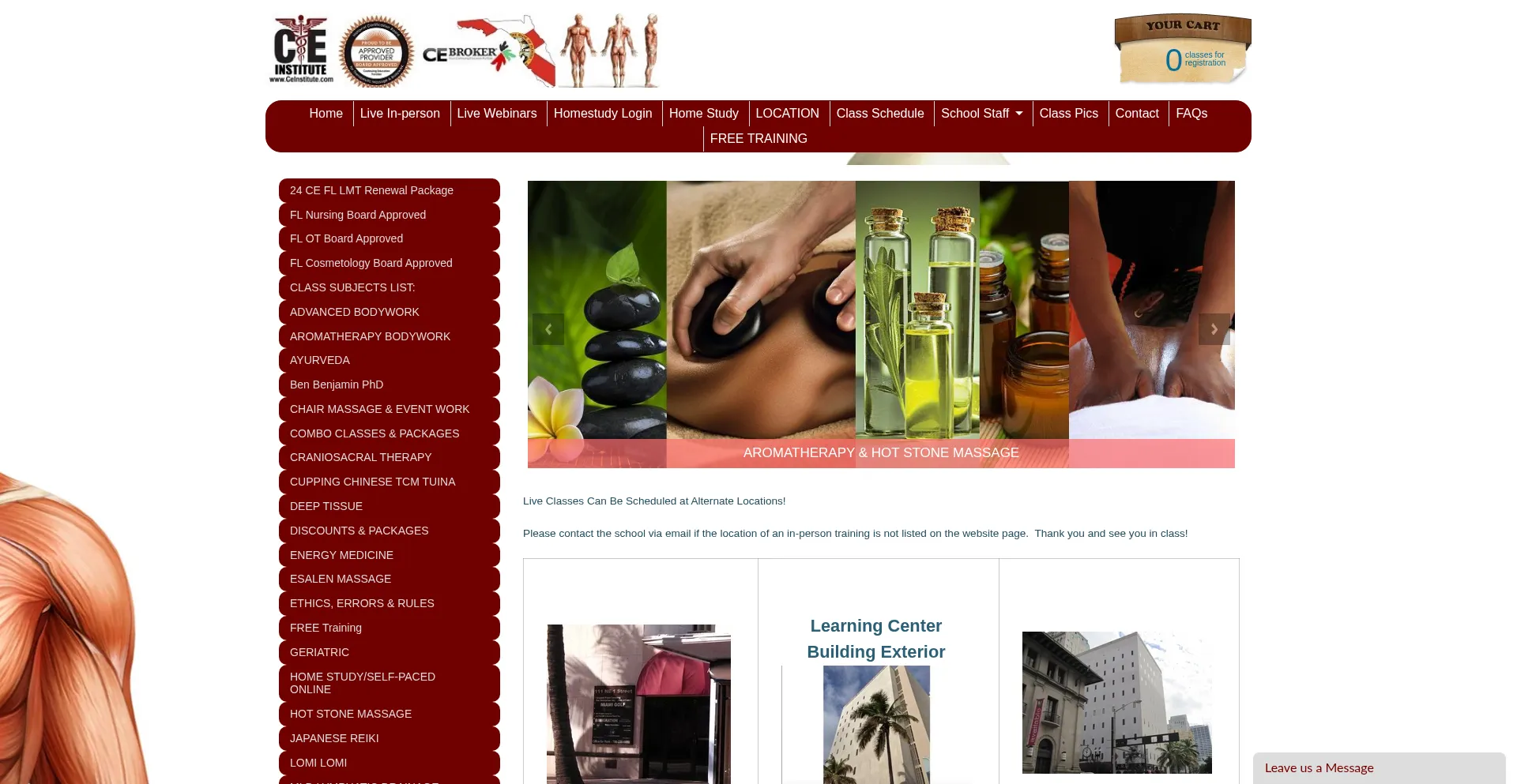 Website screenshot of Ceinstitute.com