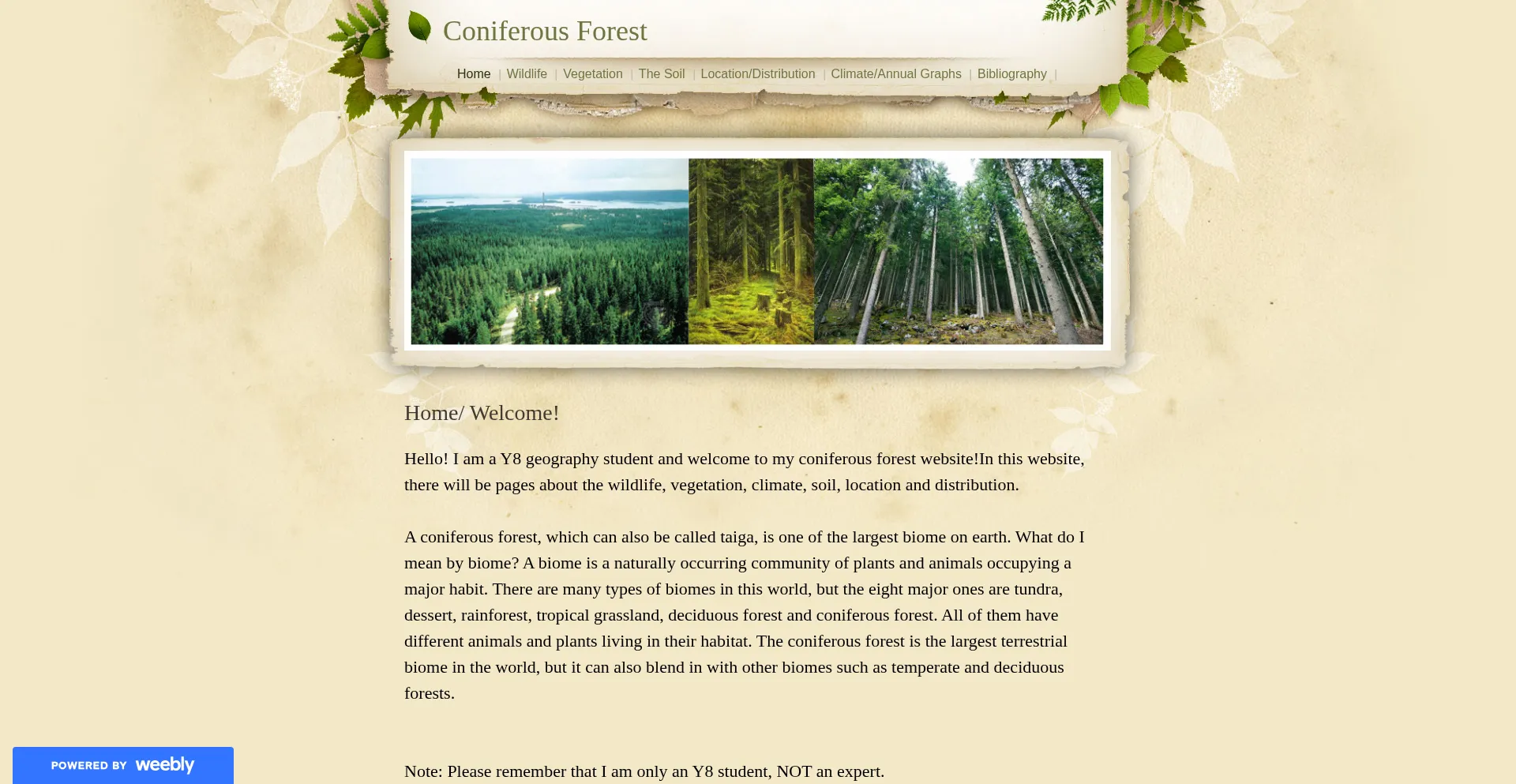 Cforest.weebly.com