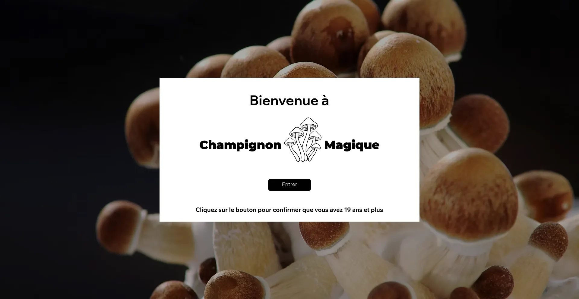 Website screenshot of Champignonmagiquequebec.io