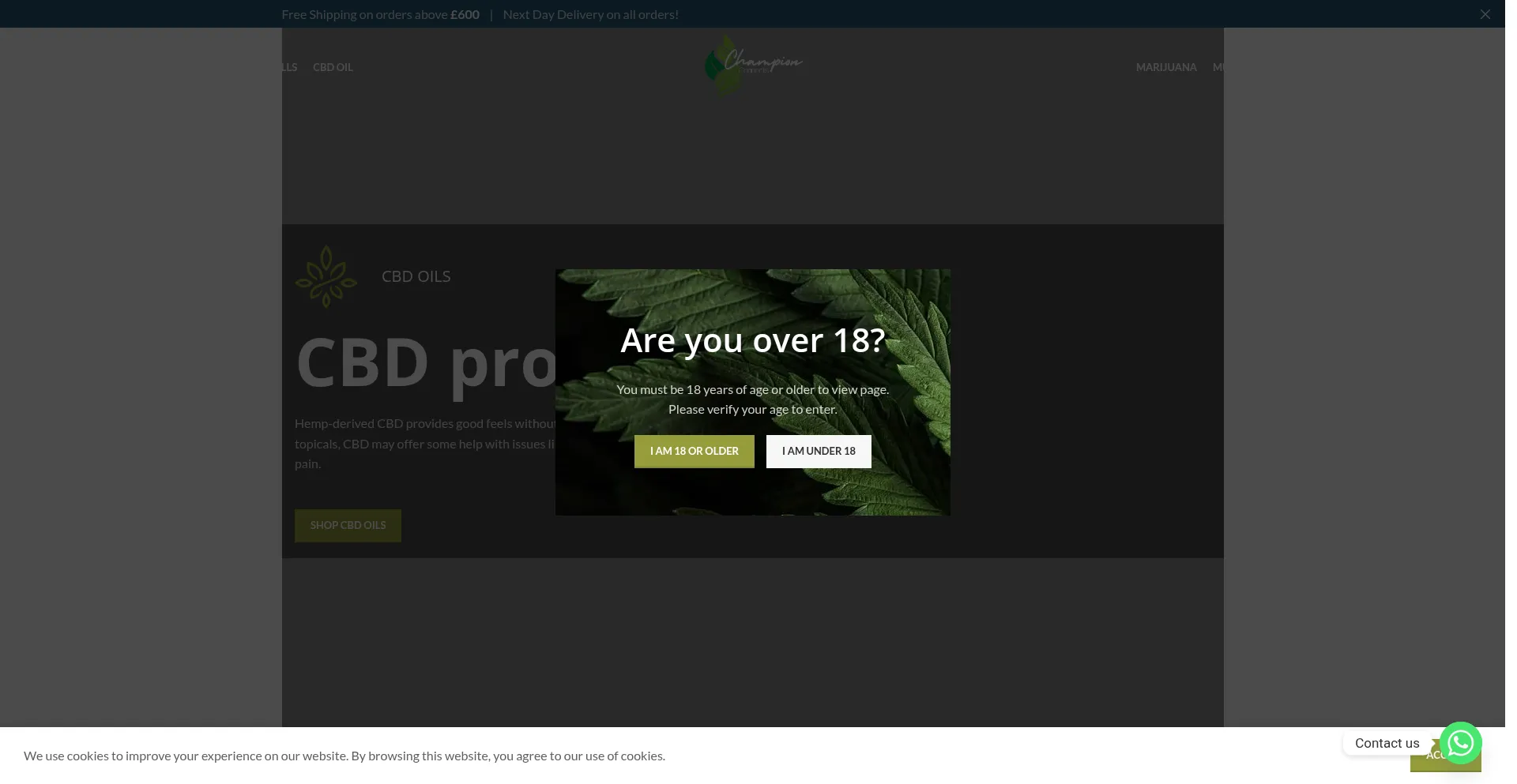 Championconnects.com