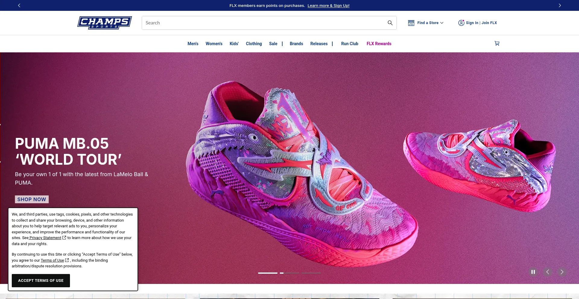 Website screenshot of Champssports.com