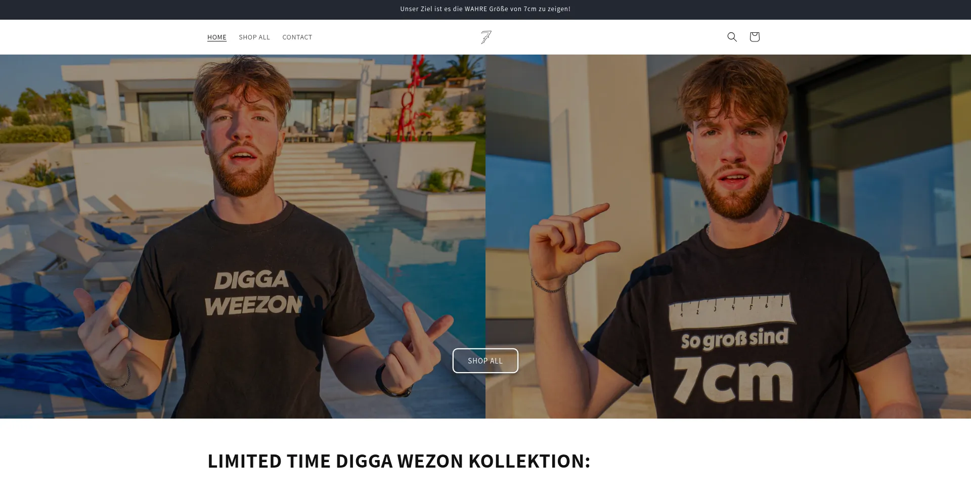 Website screenshot of Chanti7cm.shop