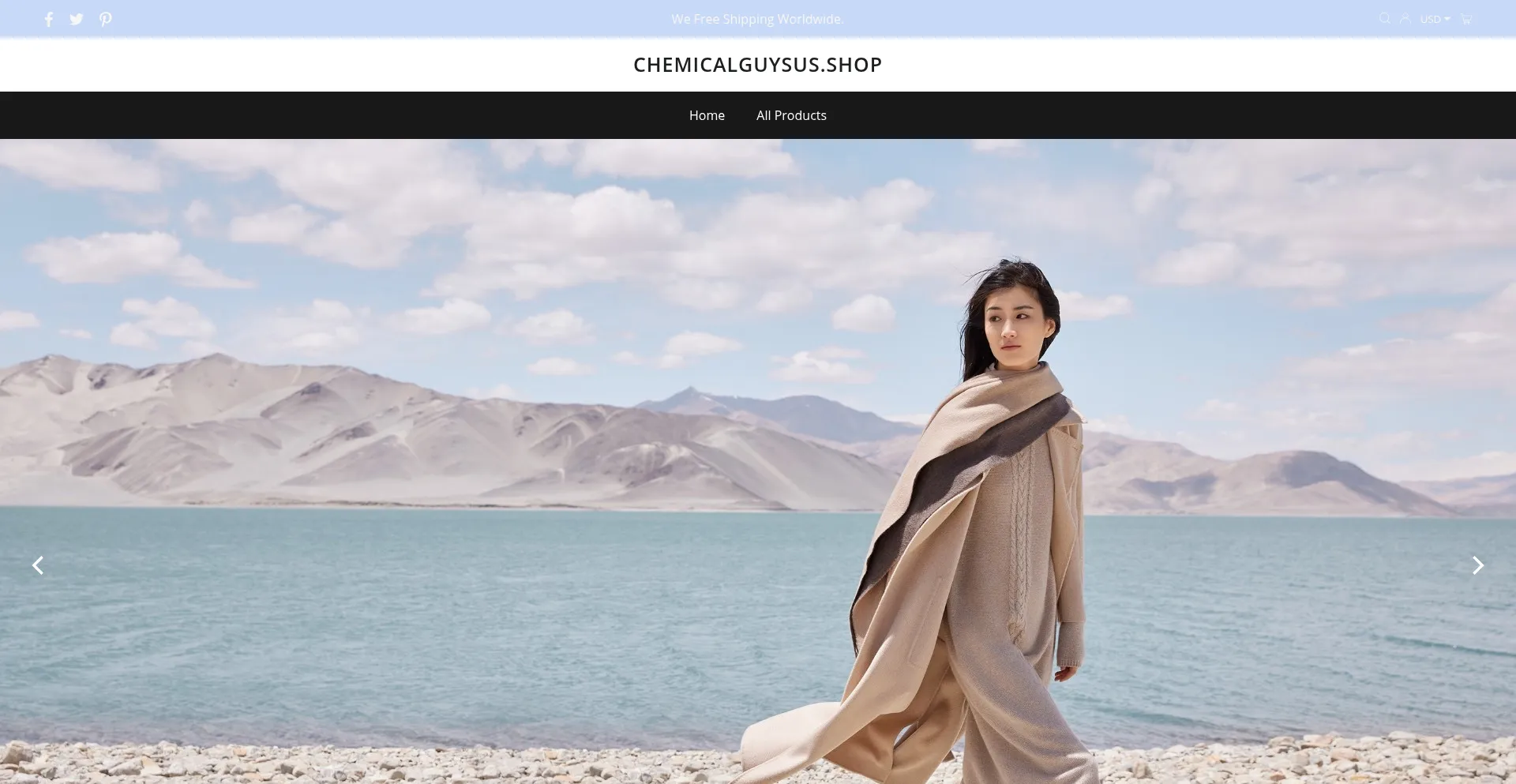 Website screenshot of Chemicalguysus.shop
