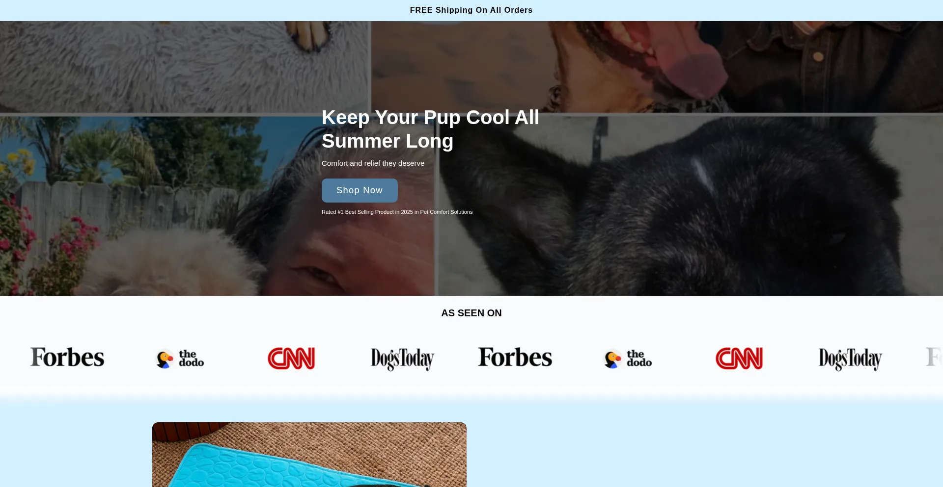 Website screenshot of Chewlax.com