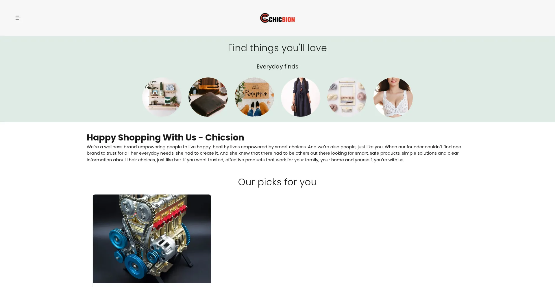 Website screenshot of Chicsion.com