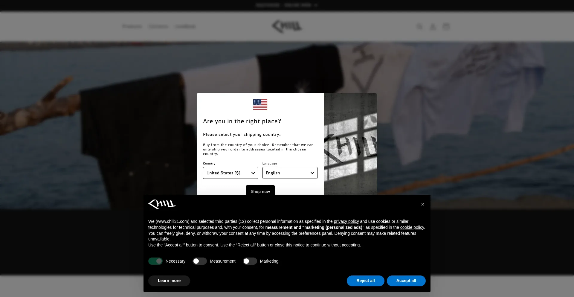 Website screenshot of Chillstore.it