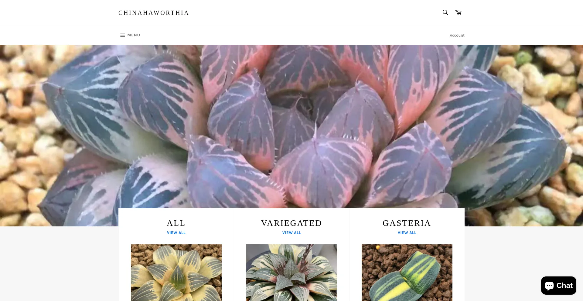 Chinahaworthia.com