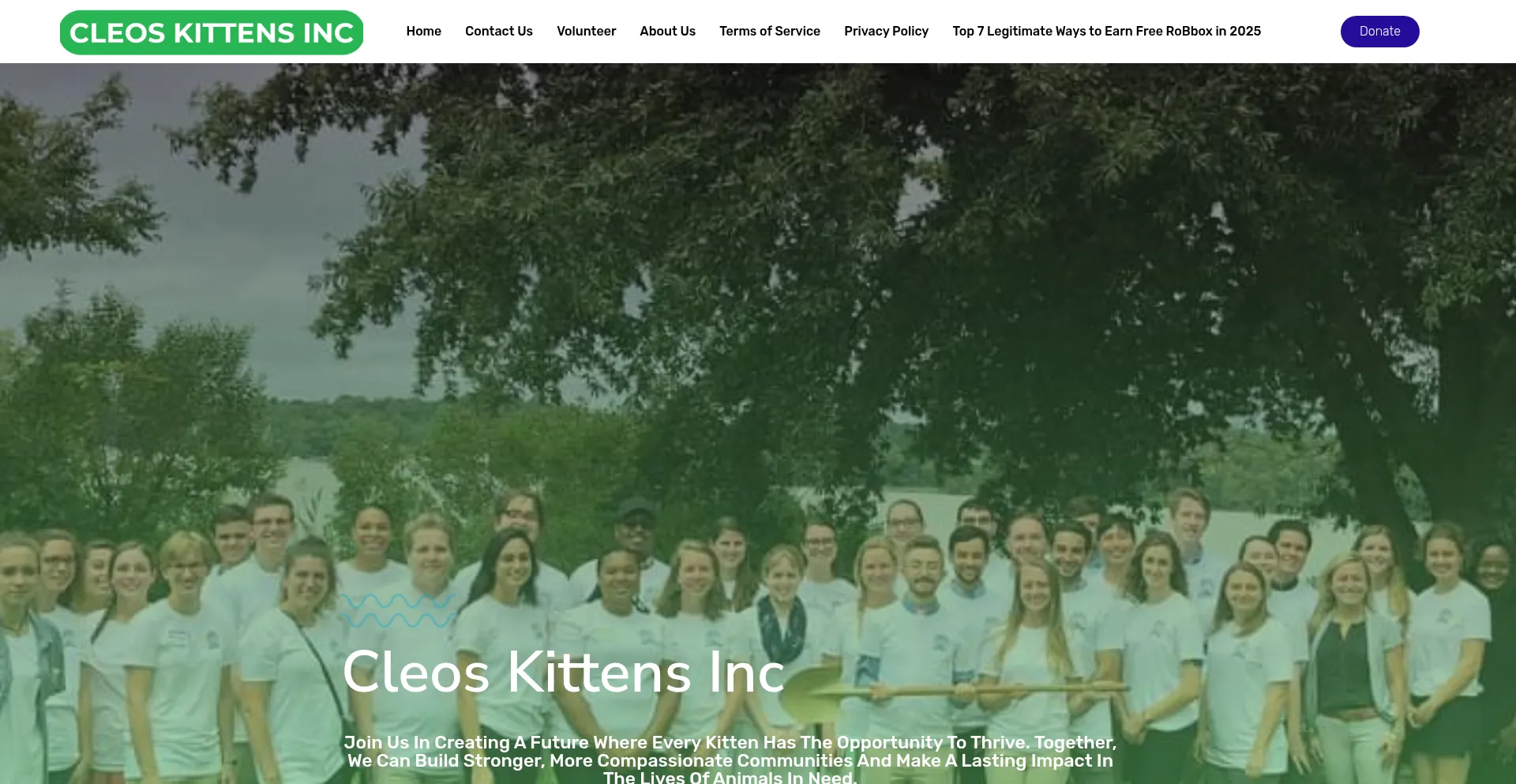 Website screenshot of Cleoskittens.site