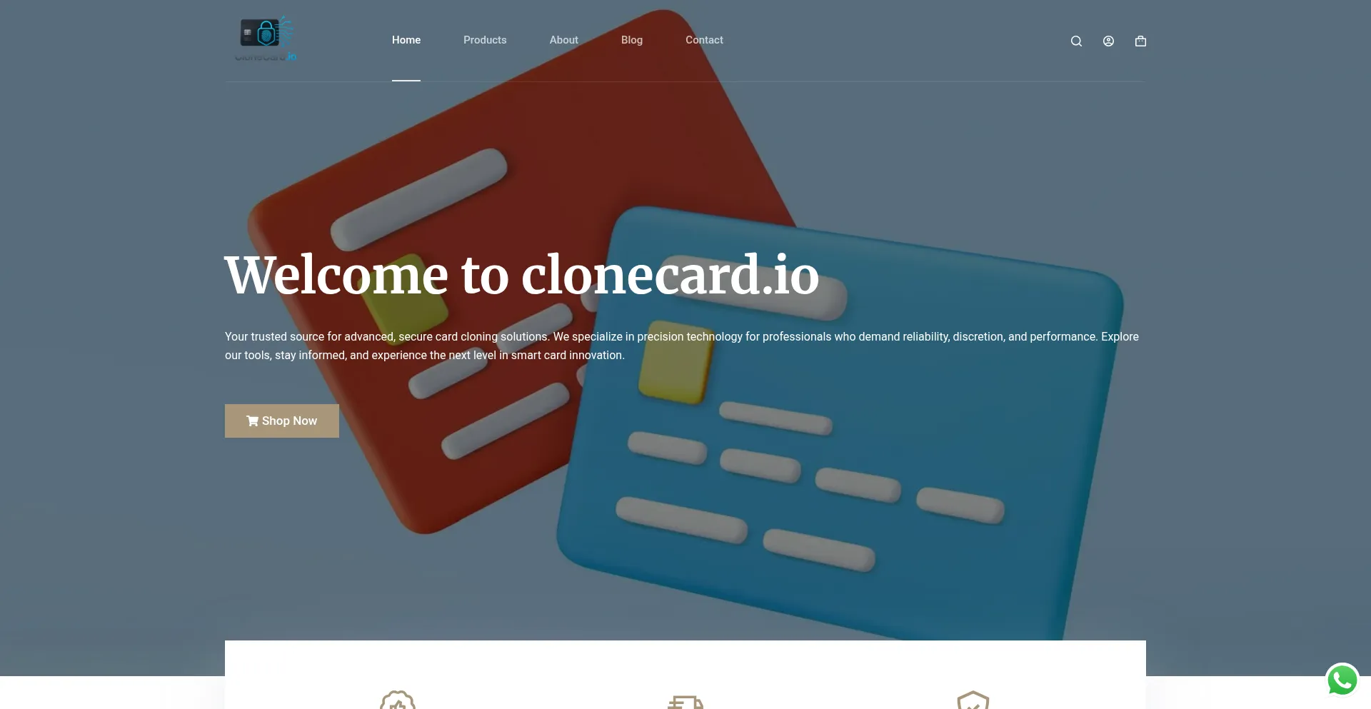 Website screenshot of Clonecard.io