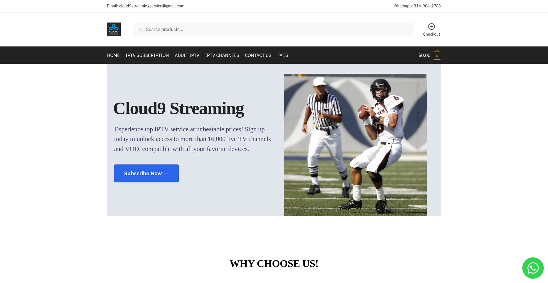 Website screenshot of Cloud9streaming.net