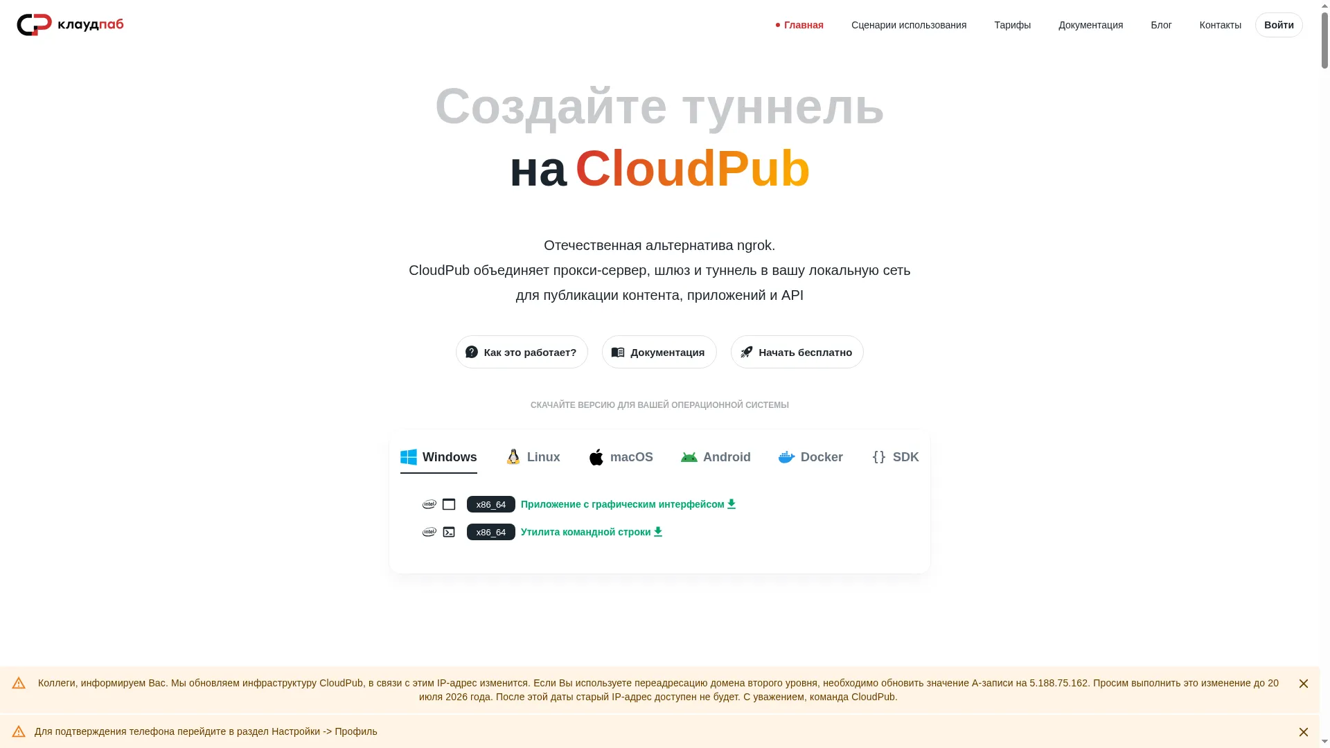 Cloudpub.ru