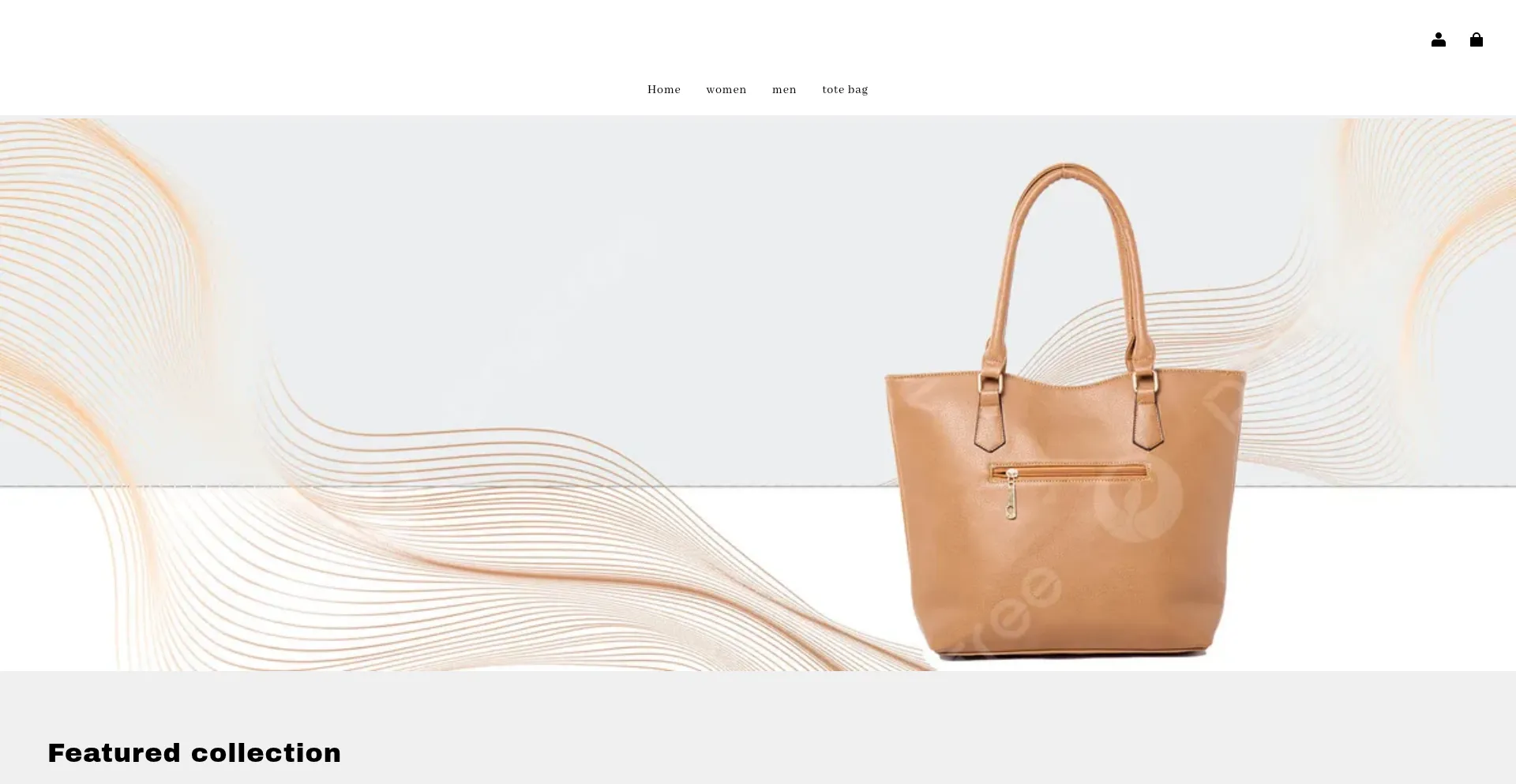 Website screenshot of Coachstore.online