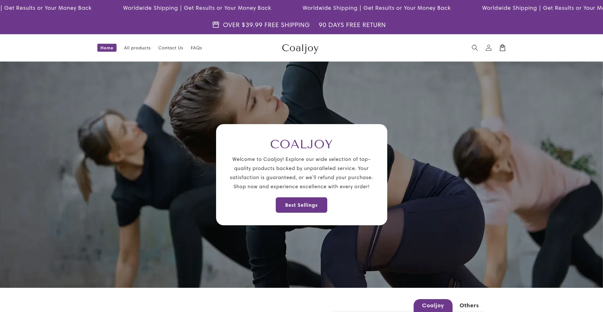 Website screenshot of Coaljoy.com