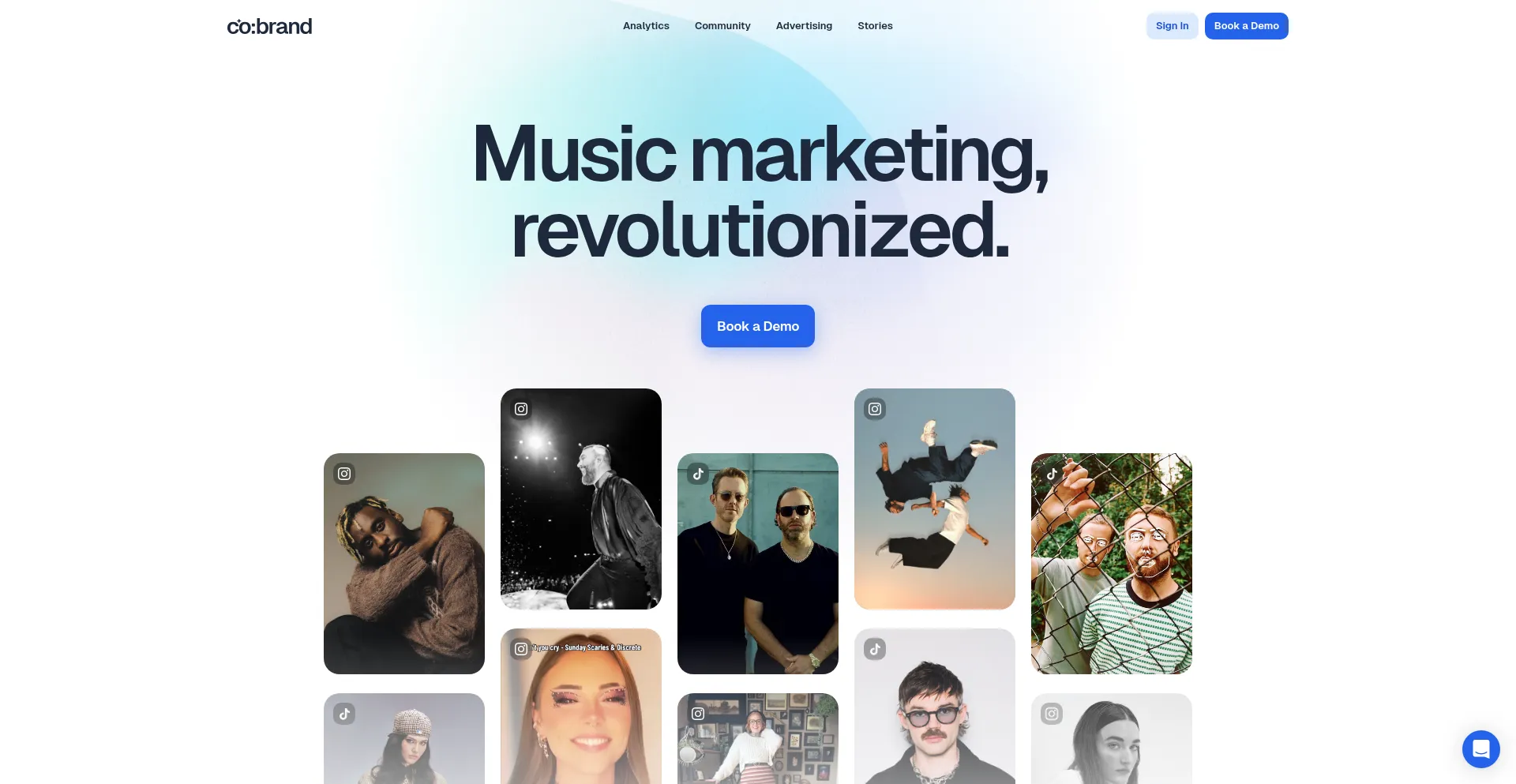Website screenshot of Cobrand.com