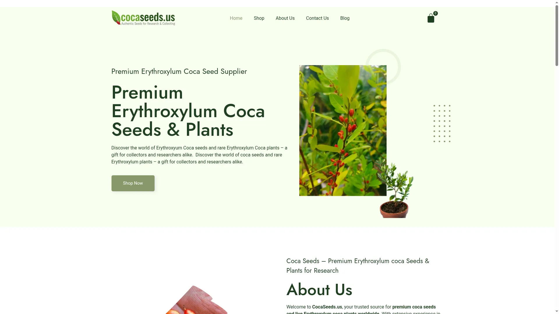 Cocaseeds.us