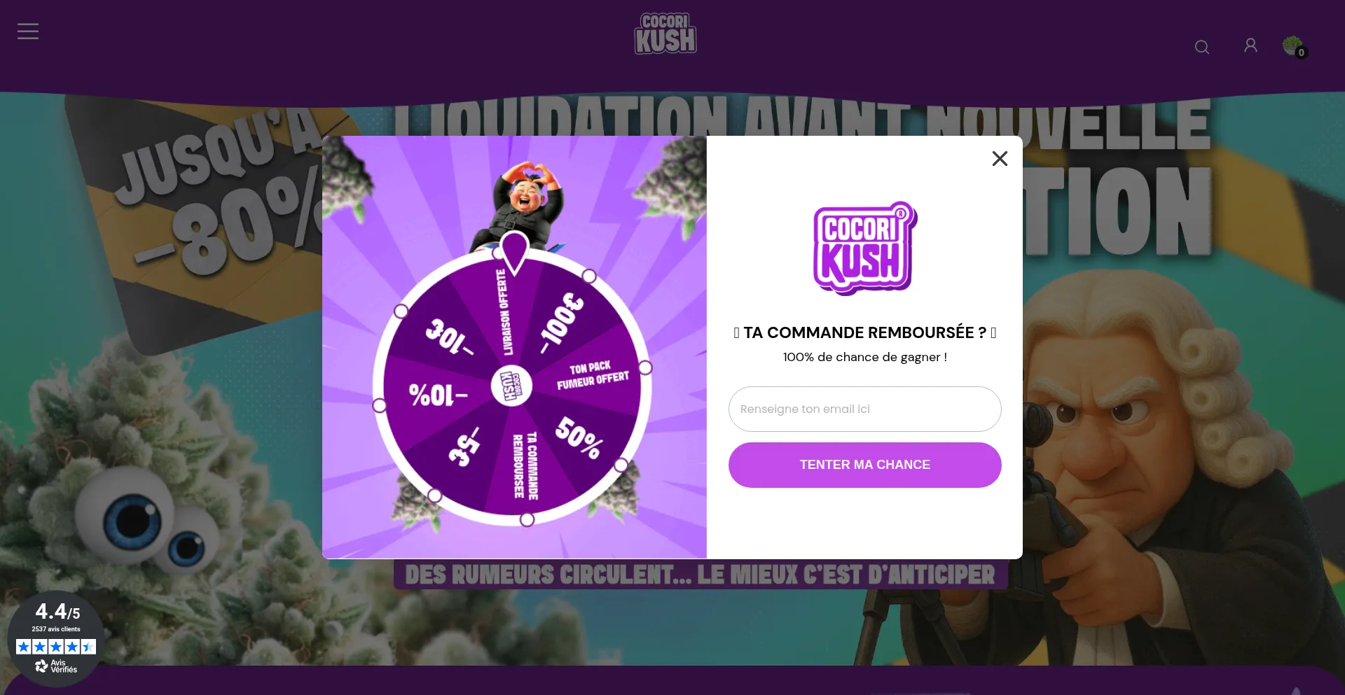 Cocorikush.fr Screenshot