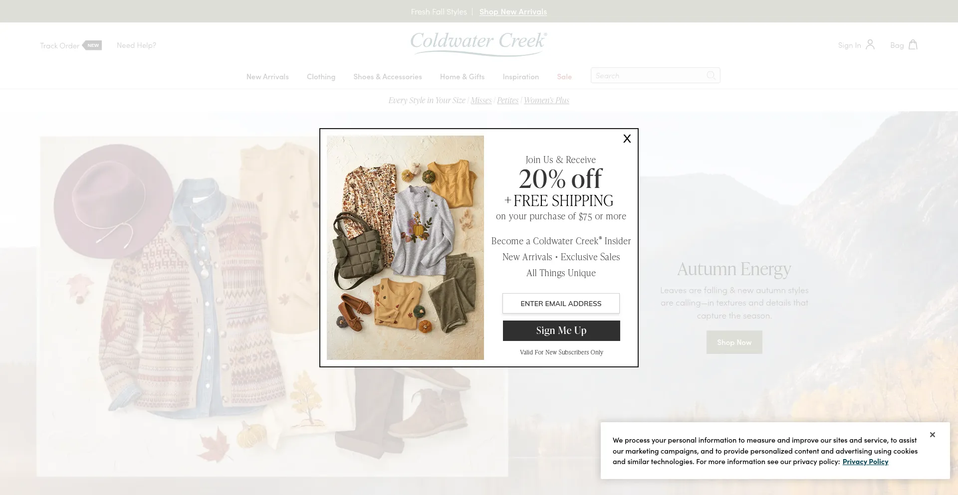 ¿És Seguro y Confiable Coldwatercreek.com?