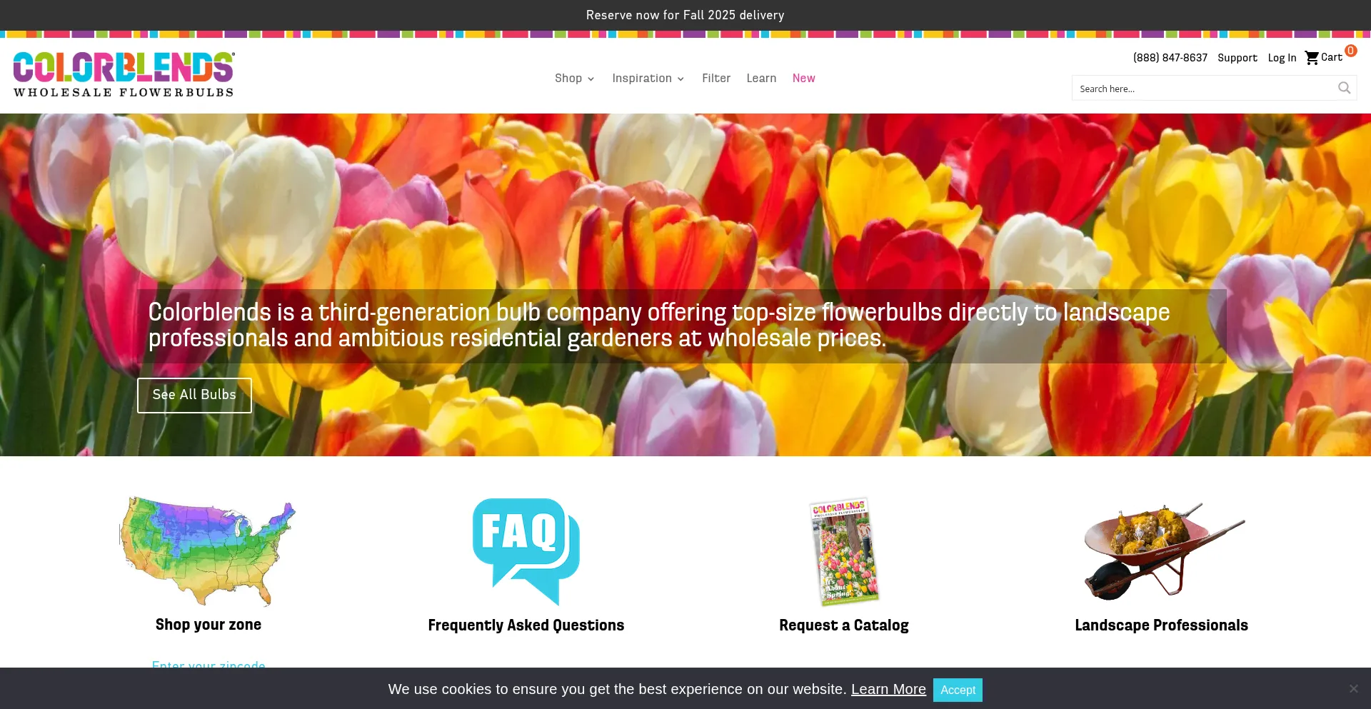 Website screenshot of Colorblends.com