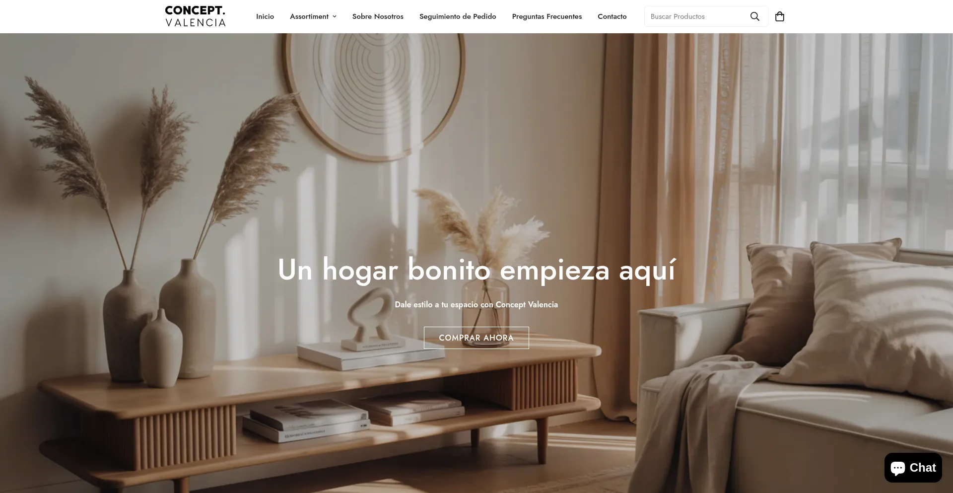 Website screenshot of Conceptvalencia.com