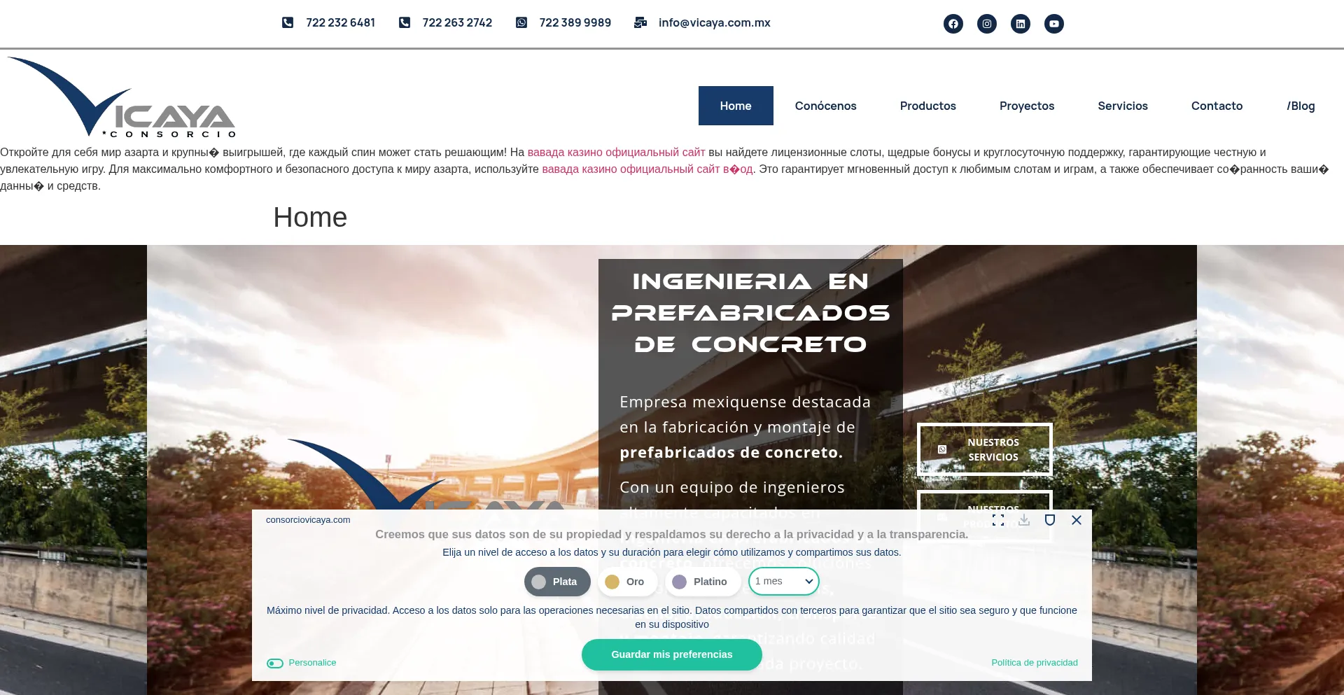 Consorciovicaya.com