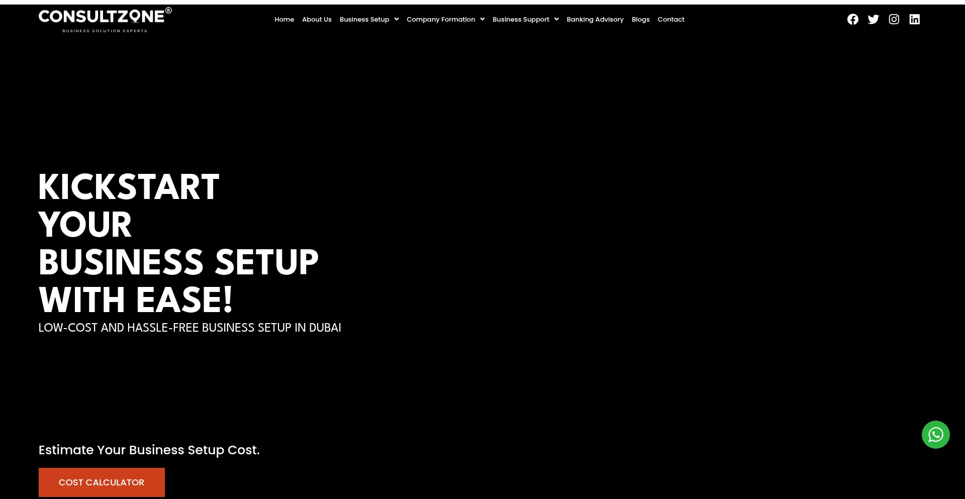 Website screenshot of Consultzone.ae
