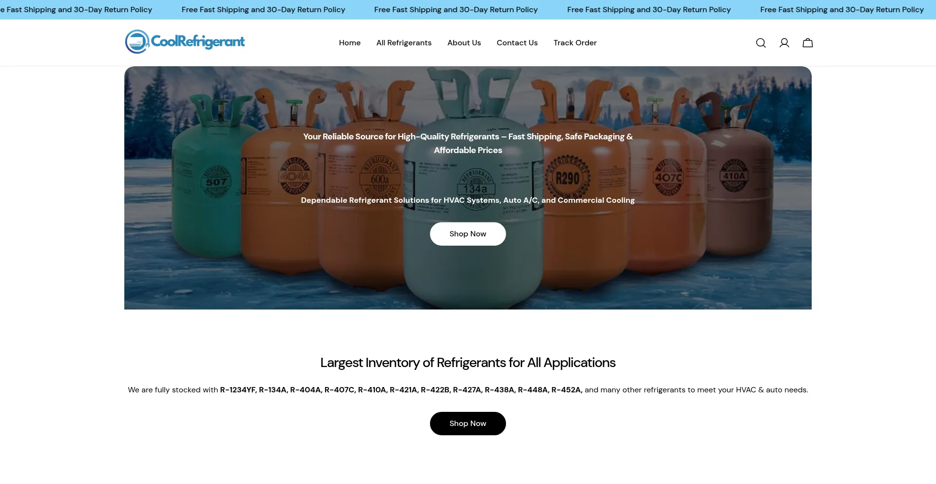 Website screenshot of Coolrefrigerant.shop