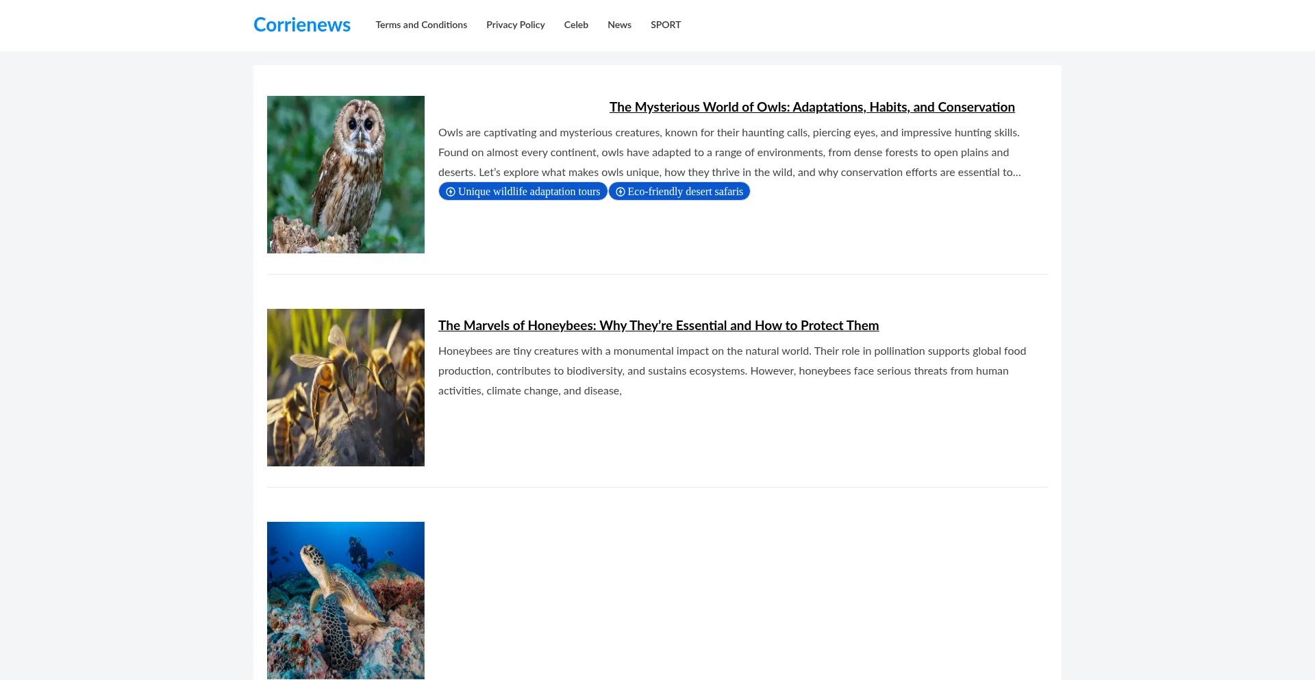 Website screenshot of Corrienews.info