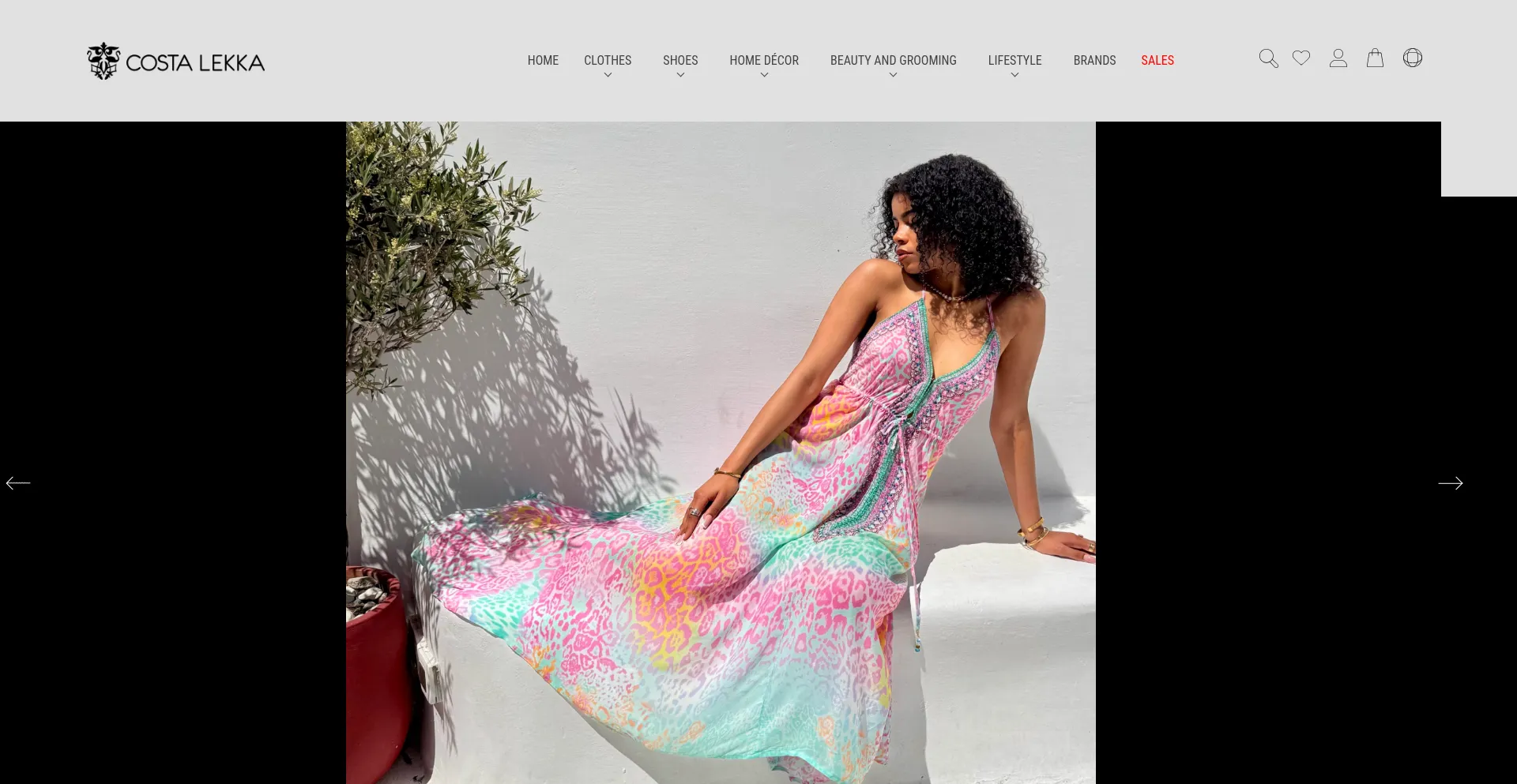 Website screenshot of Costalekka.com