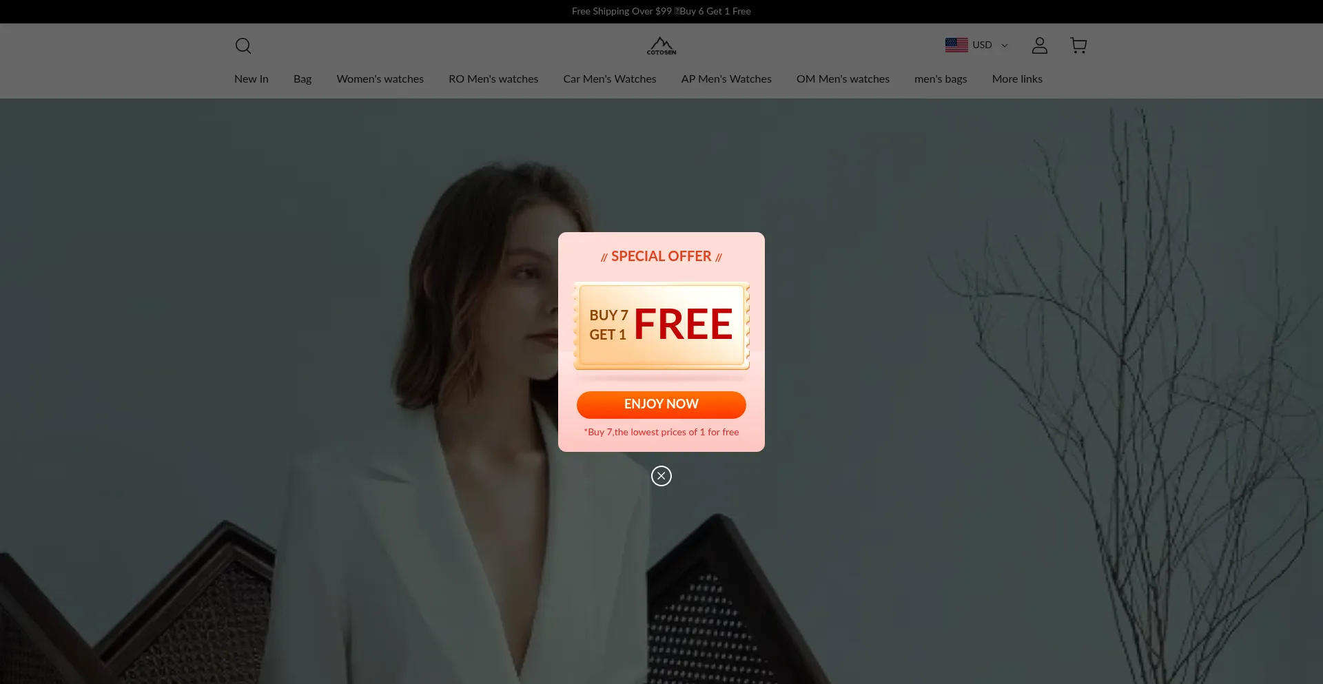 Cotoseo.com Screenshot