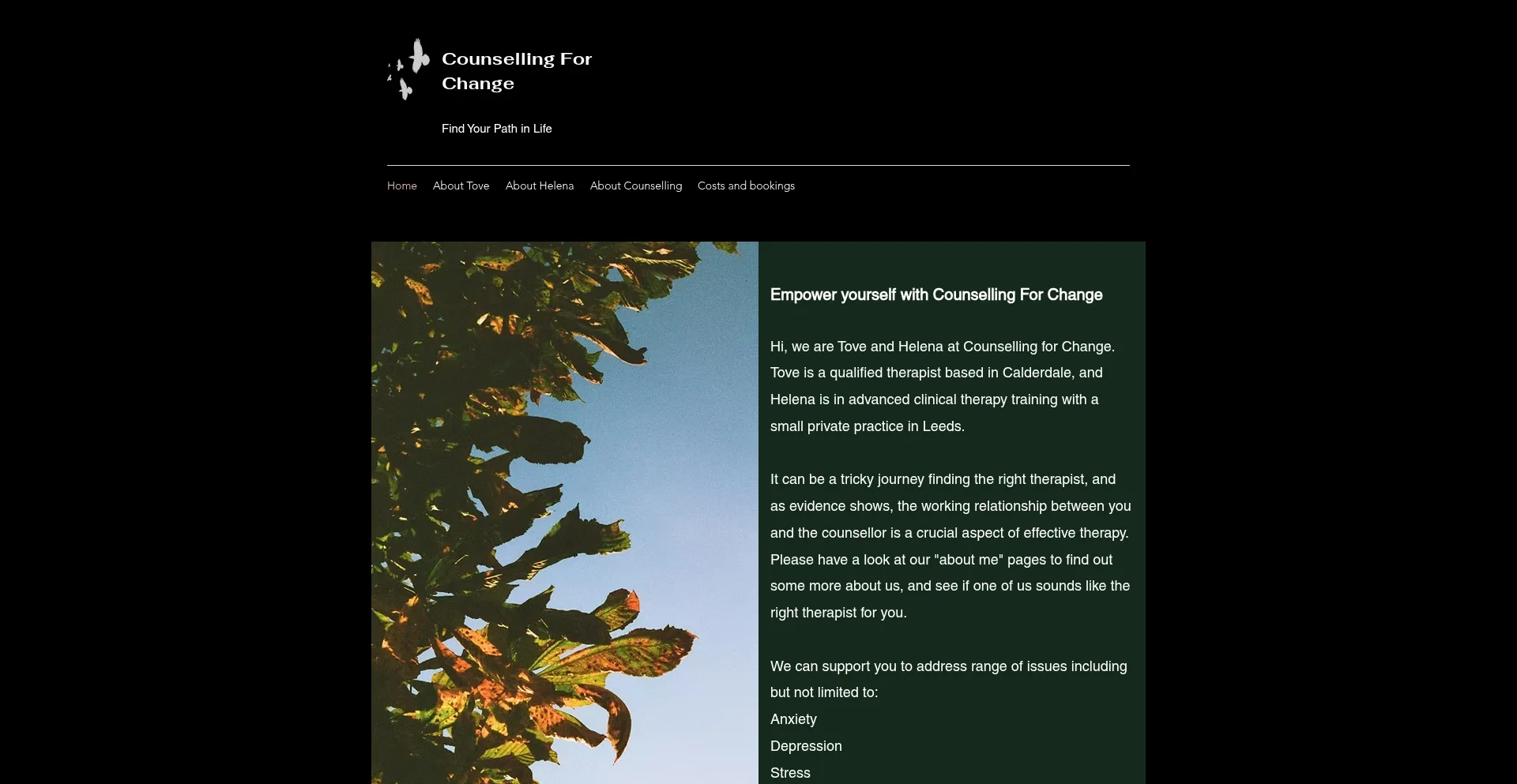 Website screenshot of Counsellingforchange.org.uk