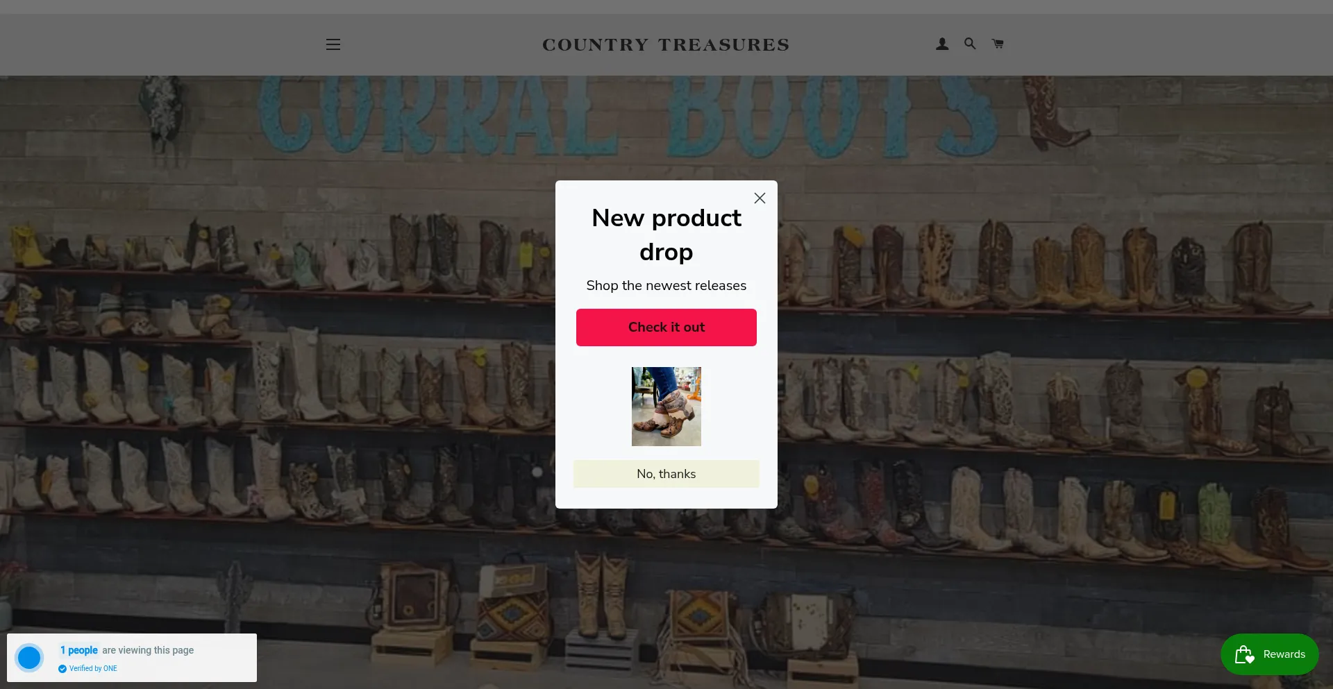 Website screenshot of Countrytreasures.org