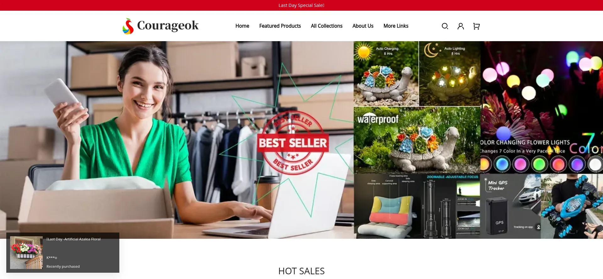 Website screenshot of Courageok.com