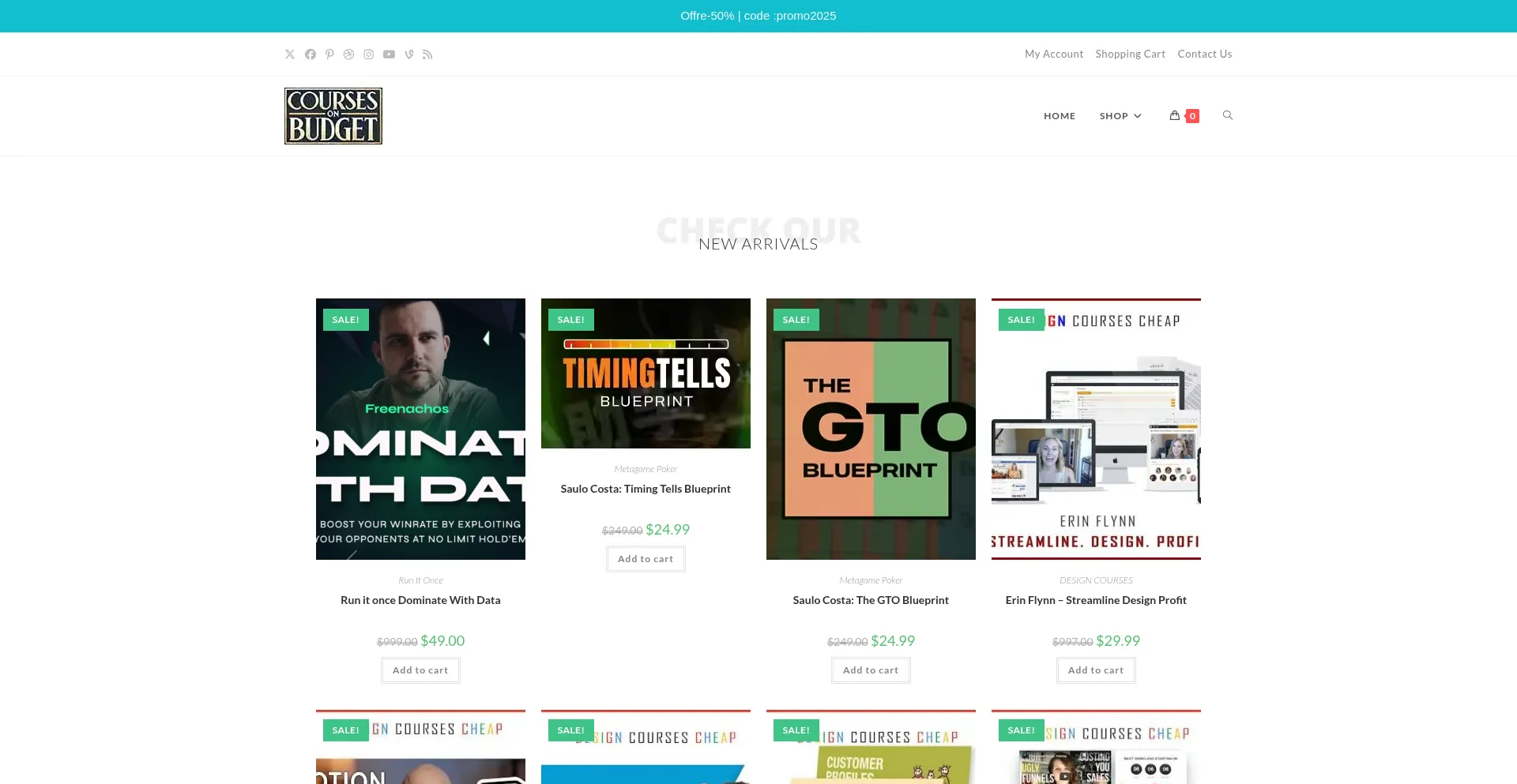 Website screenshot of Courseonbudget.com