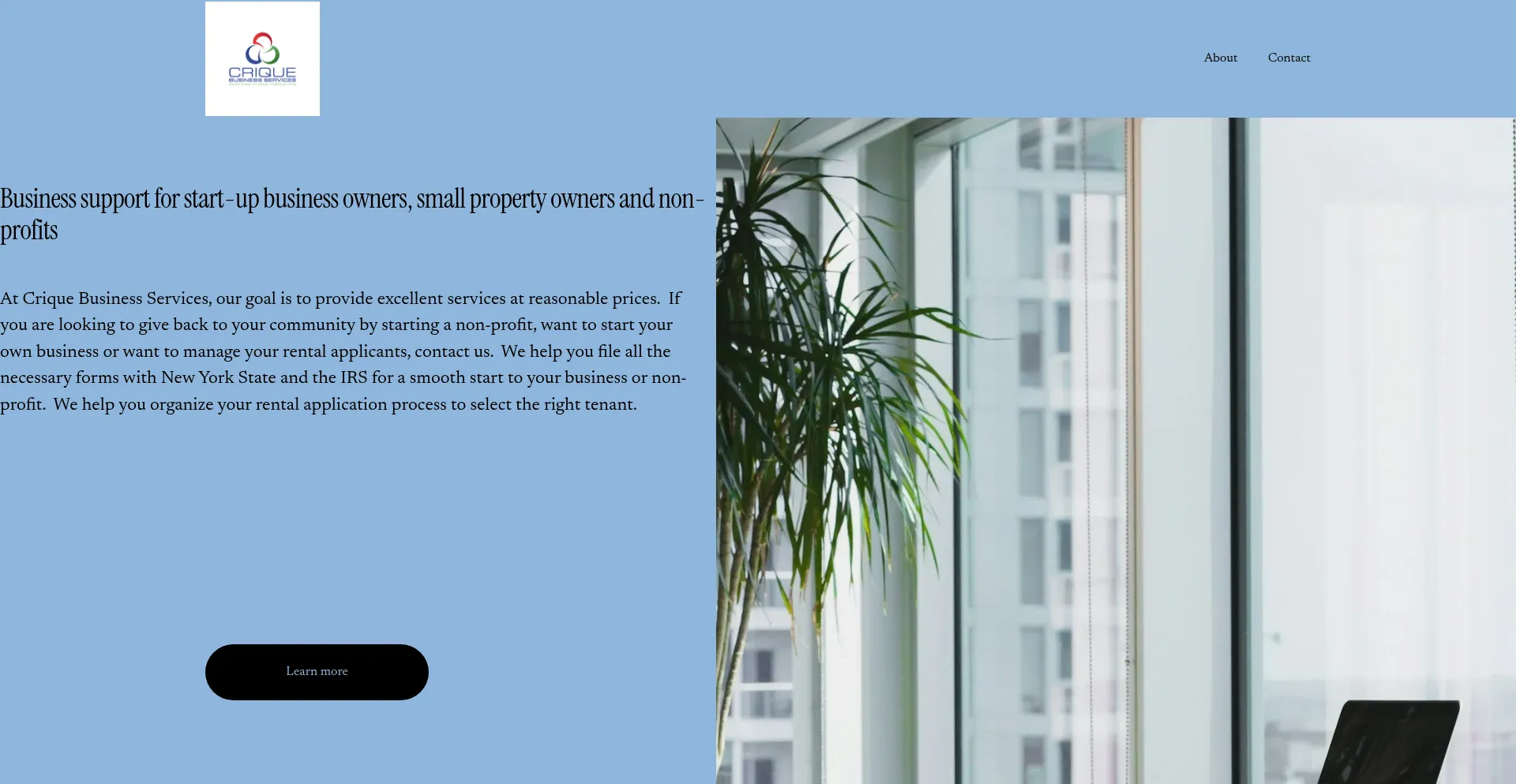 Website screenshot of Criquebusinessservices.com