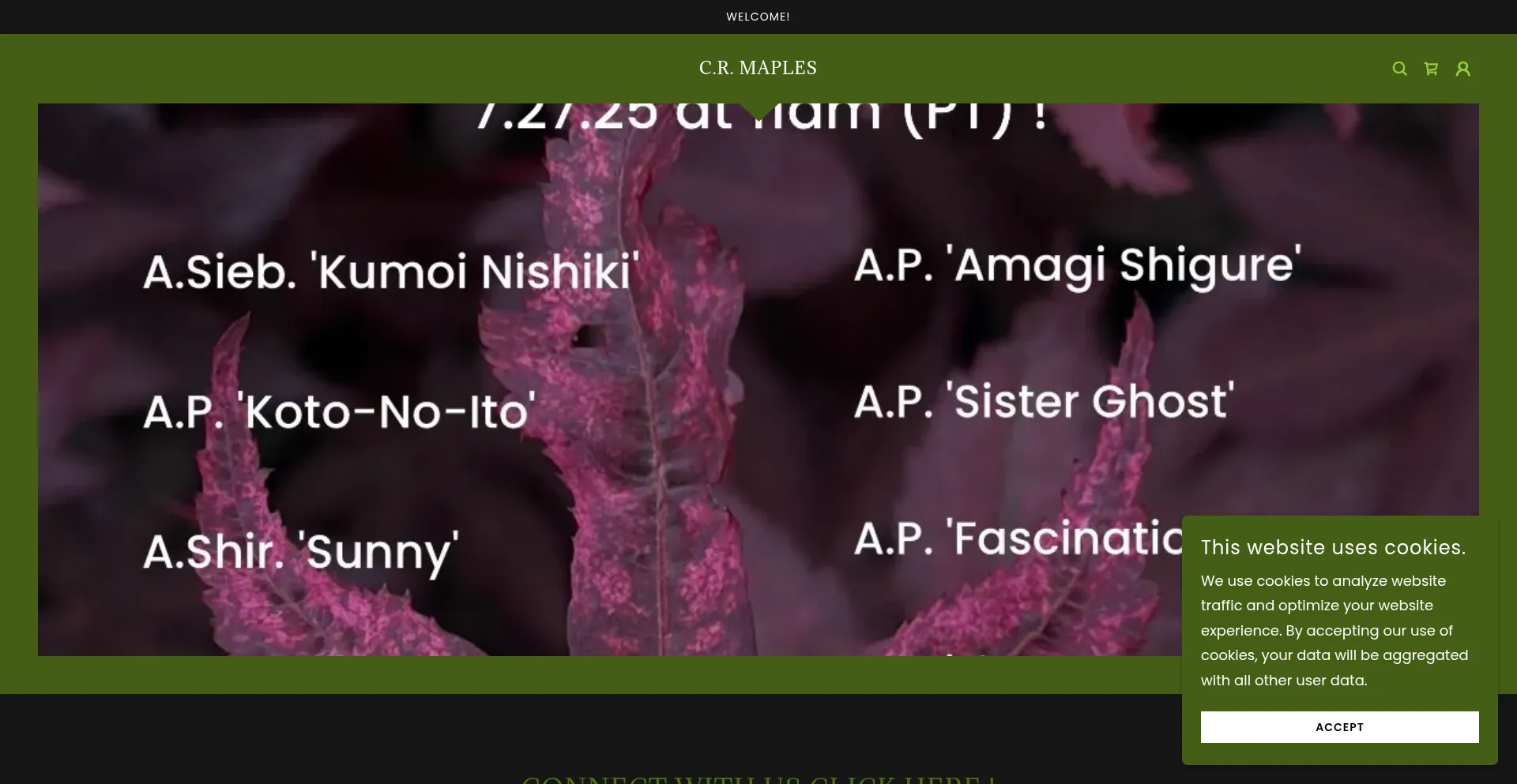 Website screenshot of Crmaples.com