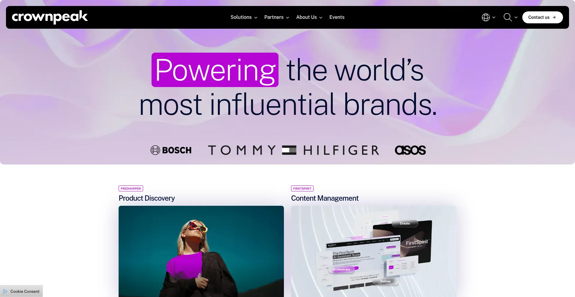 Website screenshot of Crownpeak.com