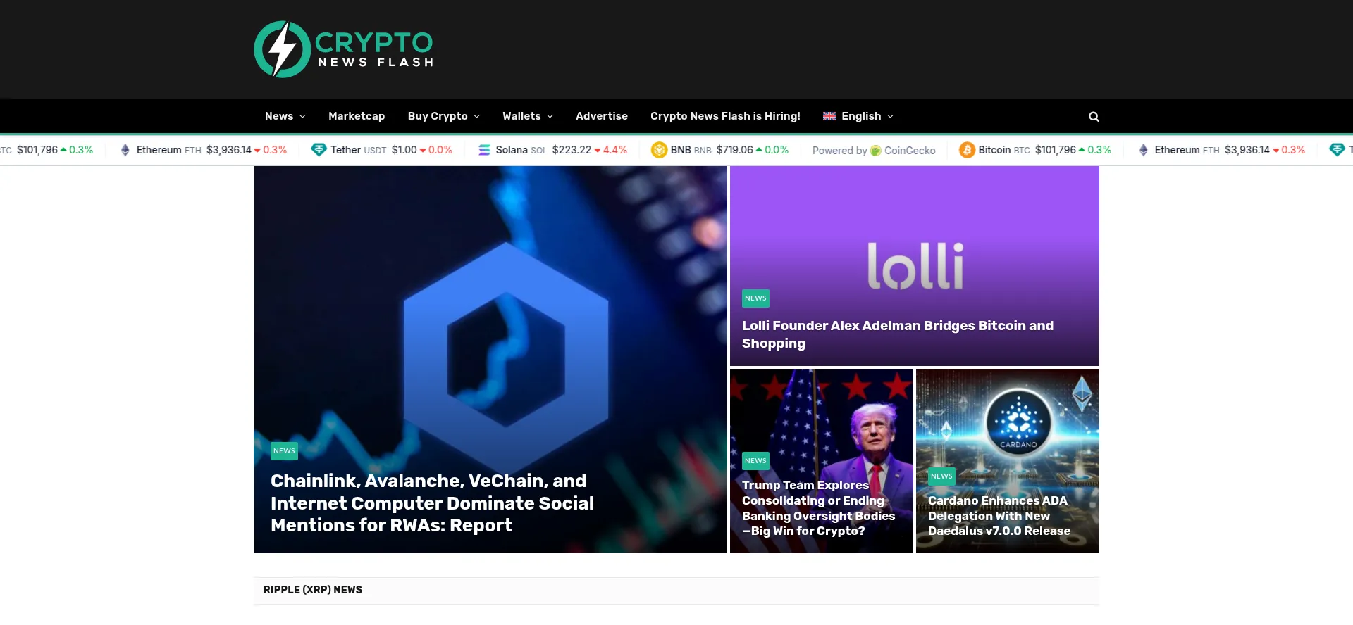 Website screenshot of Crypto-news-flash.com
