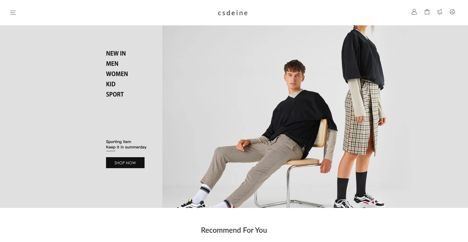 Website screenshot of Csdeine.com