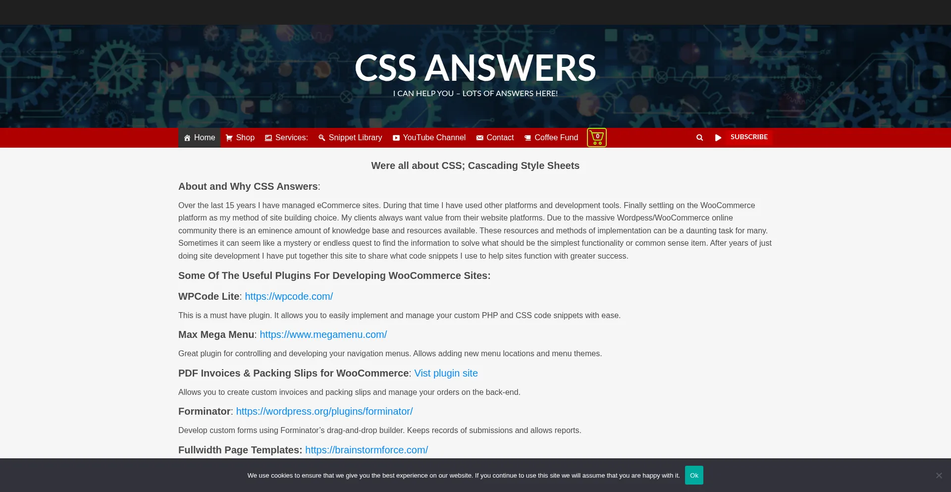 Website screenshot of Cssanswers.com