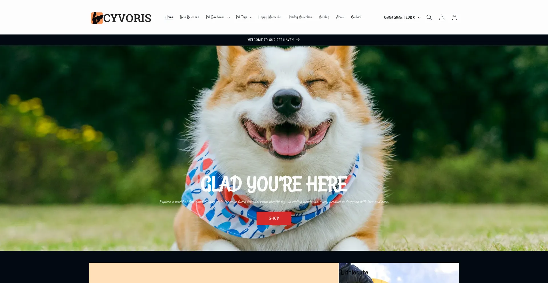 Cyvoris.com
