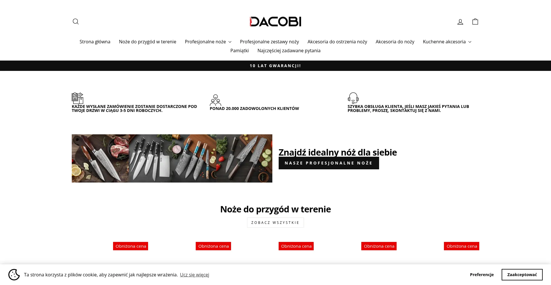 Website screenshot of Dacobi.pl