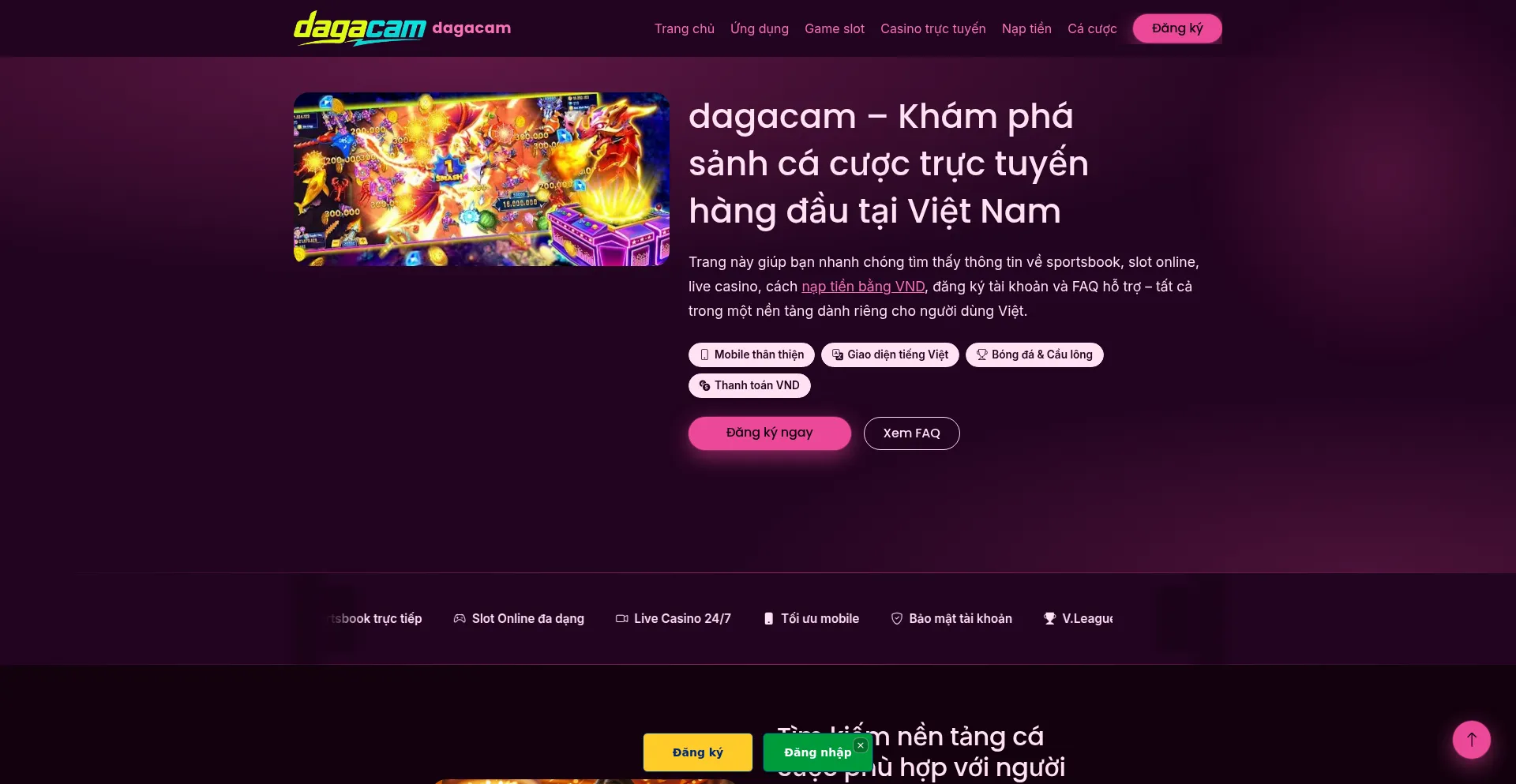 Dagacam.win