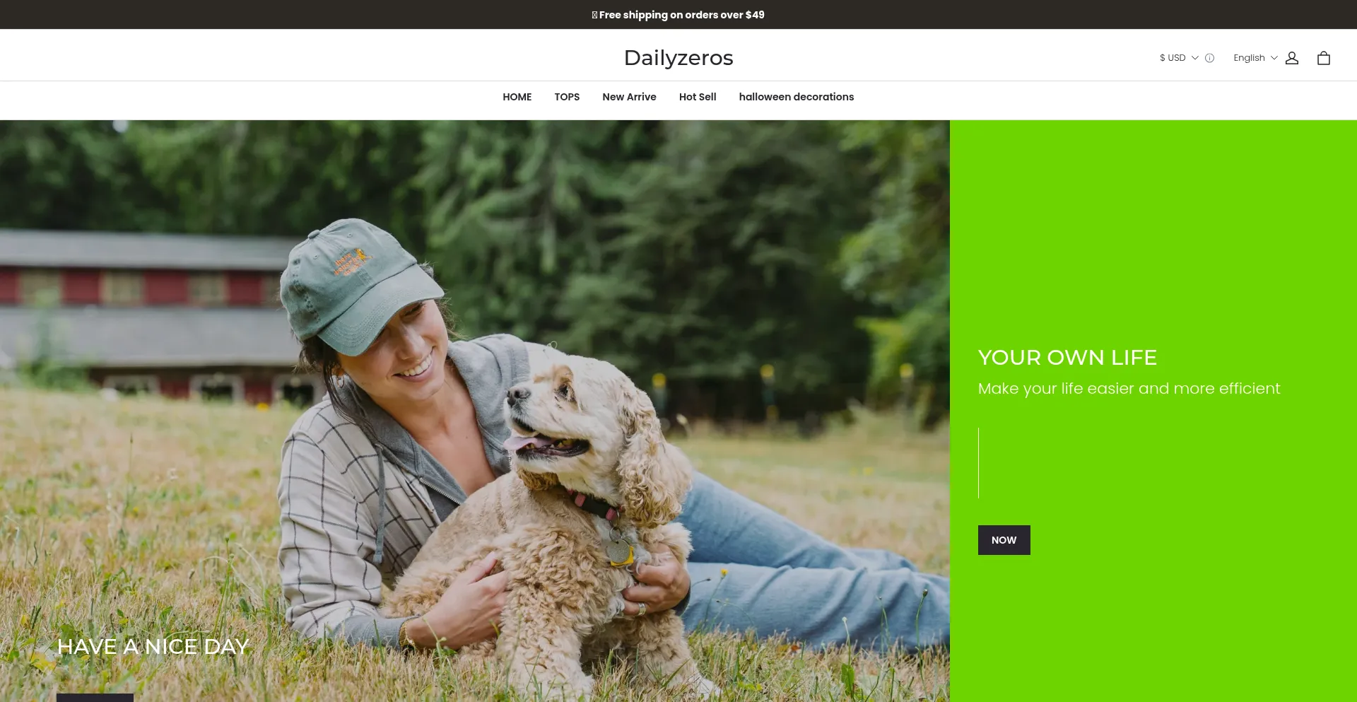 ¿És Seguro y Confiable Dailyzeros.com?