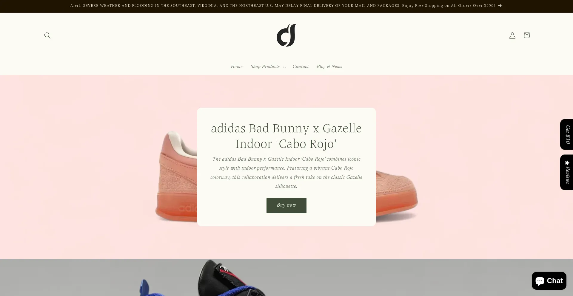 Website screenshot of Dapidorae.com